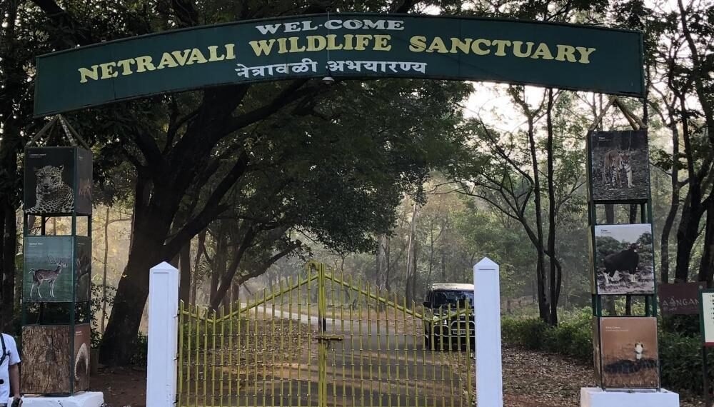 Netravali Wildlife Sanctuary, South Goa