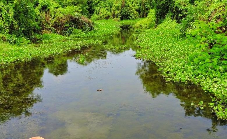 Sikiajhora, Alipurduar