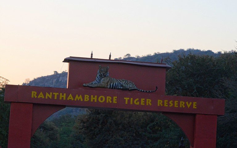 Ranthambore National Park, Sawai Madhopur