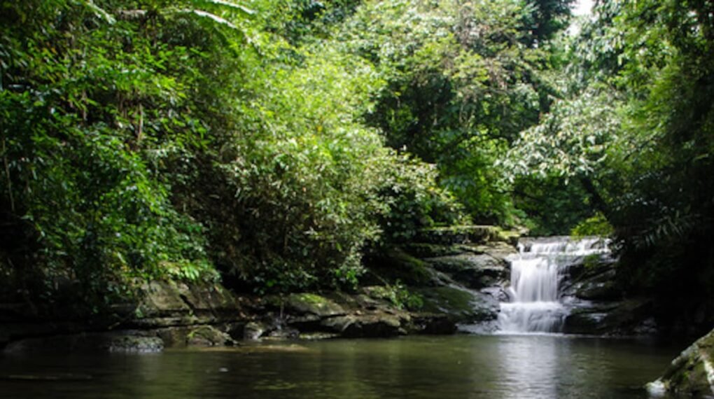 Rongbangdare Waterfalls, West Garo Hills
