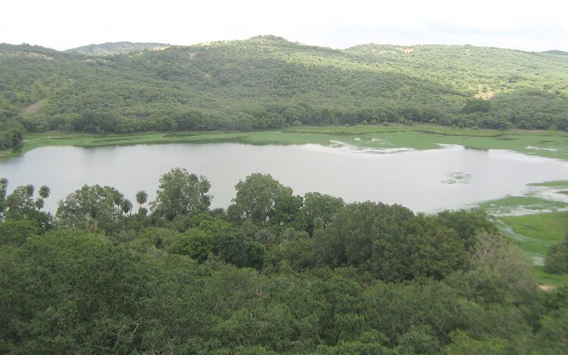 Surwal Lake, Sawai Madhopur