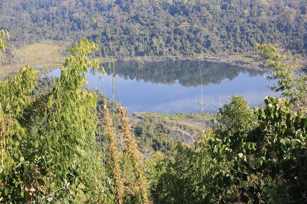 Pala Tipo Lake, Siaha