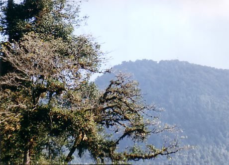 Tendong Hill, South Sikkim