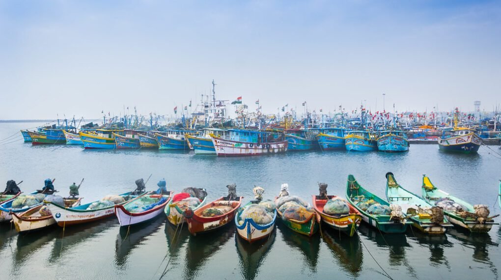 Royapuram Fishing Harbour, Chennai