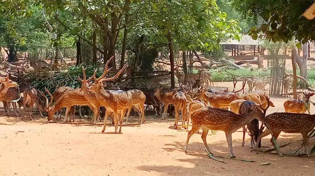 Ballabhpur Wildlife Sanctuary, Birbhum